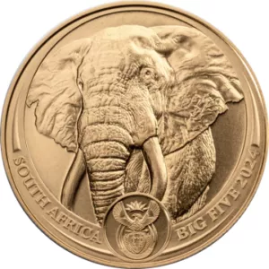 Elefante" Sudáfrica - 1 Oz - Moneda de Oro 2024