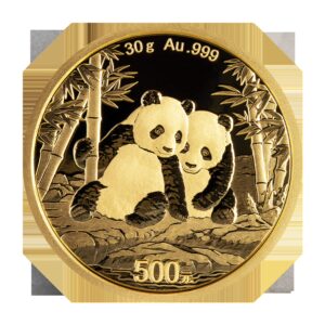 Panda 2026 - China 30 g moneda de oro