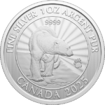 Oso polar majestuoso