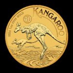 Canguro/Pepita 2026 - Moneda de oro de 1 oz de Australia