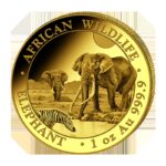 Elefante de Somalia - Moneda de oro de 1 oz, 0,9999 2026